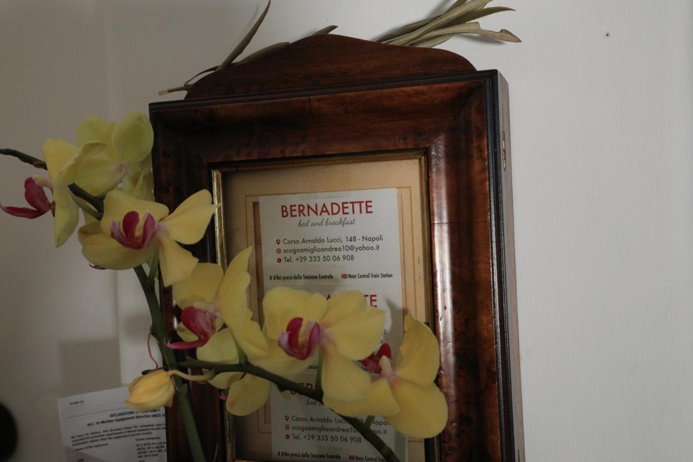Bernadette Bed & Breakfast Наполи Екстериор снимка